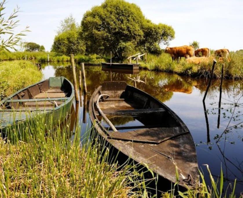 Petit Appartement A La Campagne Proche Mer Missillac Bagian luar foto